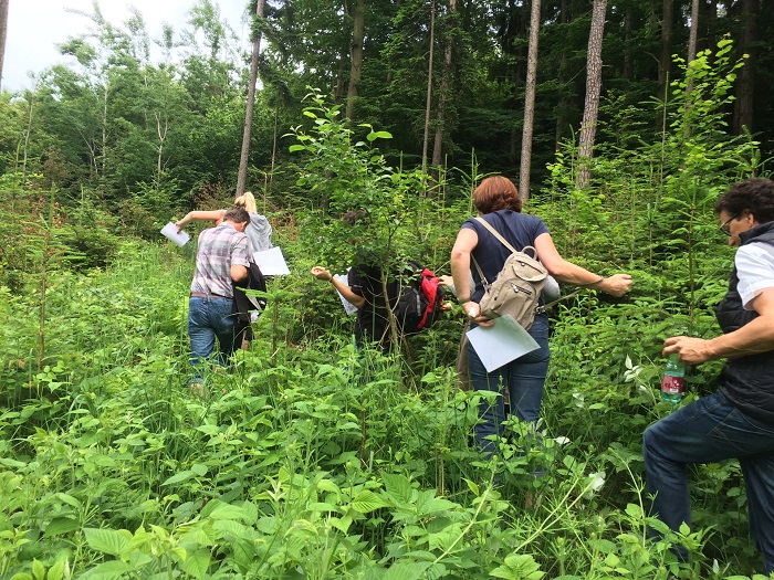 Ausgesetzt in der Wildnis                                                   